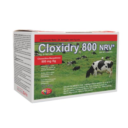 CLOXIDRY 800 NRV Secado 24 x 5 gr.