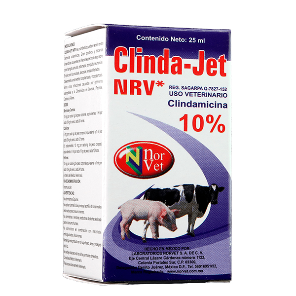 CLINDA- JET 100 mg/ml. 25 ml.