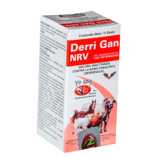 DERRI GAN NRV. 11.ds.