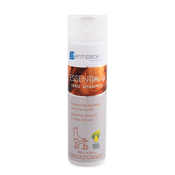 ESSENTIAL 6 SEBO Shampoo