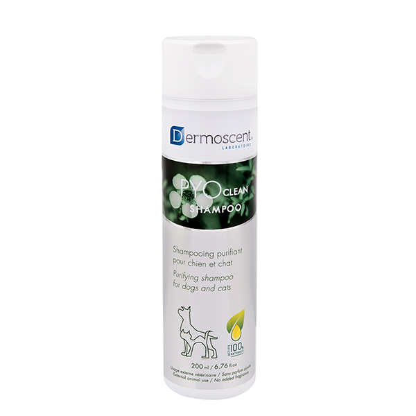 3927 PYOCLEAN SHAMPOO