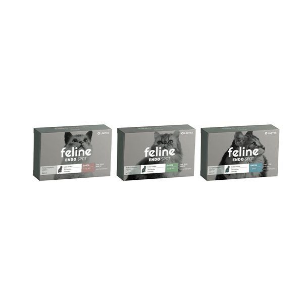 Feline Endospot 01-02 KG