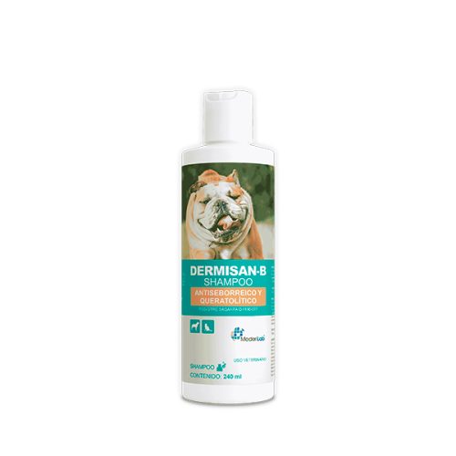DERMISAN-B SHAMPOO 240 ML