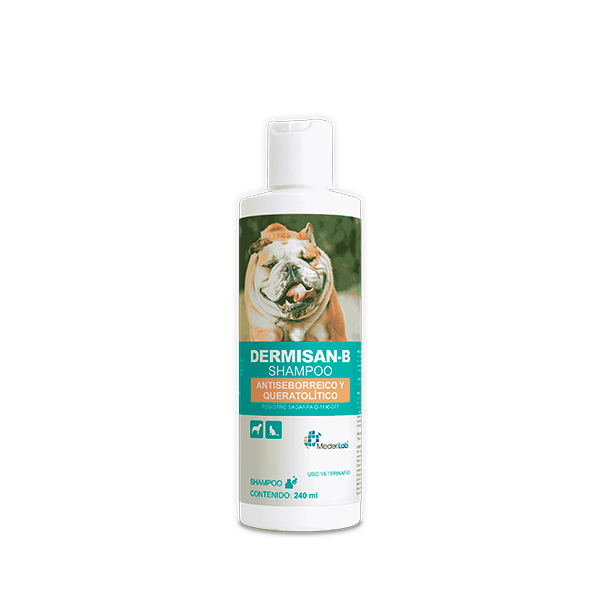 DERMISAN-B SHAMPOO 240 ML