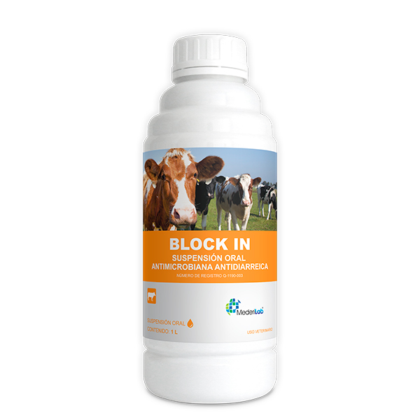 BLOCK IN 1 L