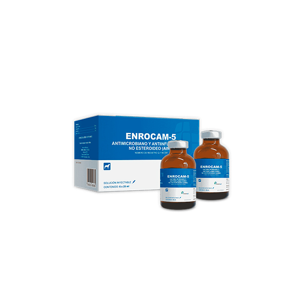 ENROCAM-5 INYECTABLE 25 ML