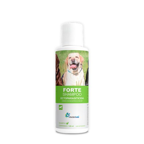 FORTE SHAMPOO 120ML