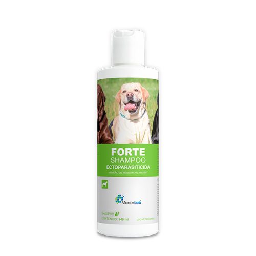 FORTE SHAMPOO 240ML