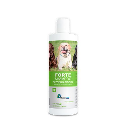 FORTE SHAMPOO 340ML