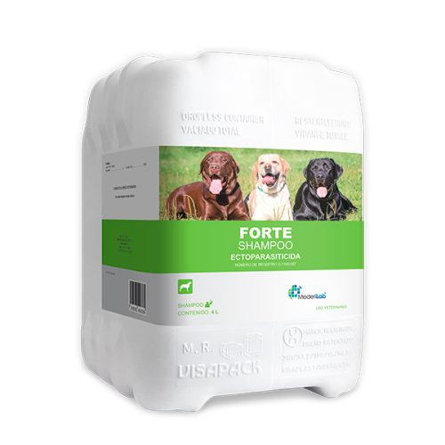 FORTE SHAMPOO 4L