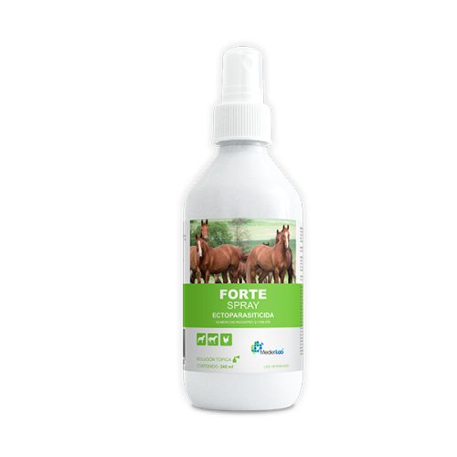 FORTE SPRAY 240ML