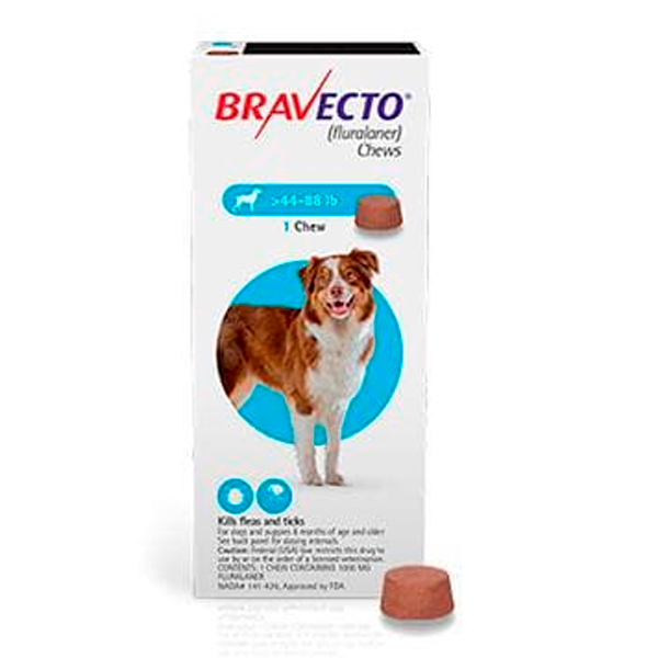 bravecto 1000mg