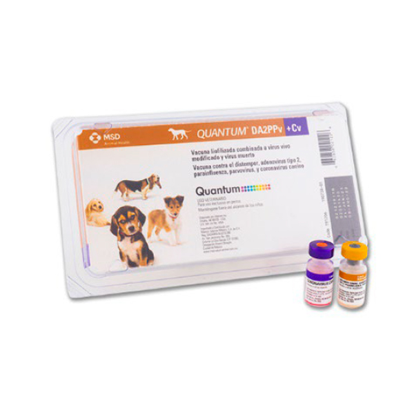 Quantum DA2PPv+Cv