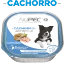 Img cachorro humedo1 4f8eac86778449462816614629198140 1024
