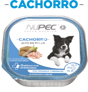 Img cachorro humedo1 4f8eac86778449462816614629198140 1024