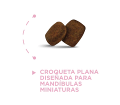Npc adulto raza mini croqueta1 1bd08a658ff3484f1216630078487453 240