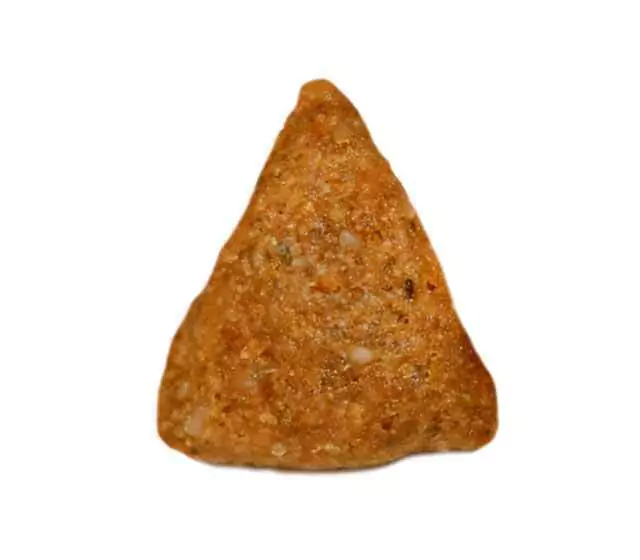 Npc adulto raza pequena croqueta21 e6771e5a93344b78d016615497088985 1024